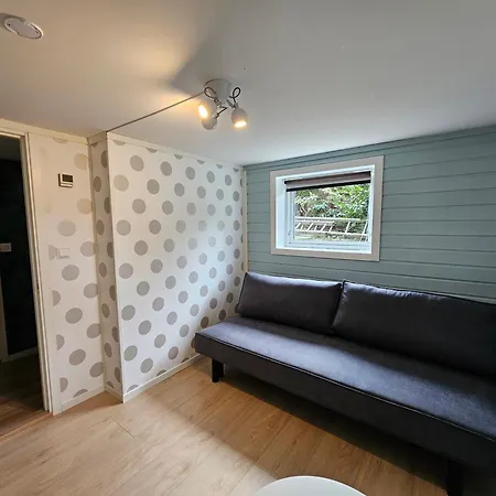 Tomannsbolig Sentralt