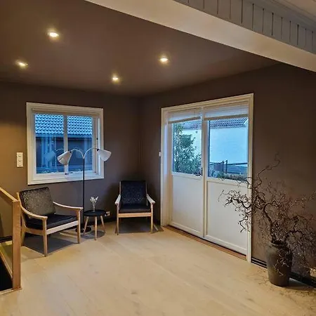 公寓 Tomannsbolig Sentralt