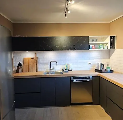 아파트 Tomannsbolig Sentralt